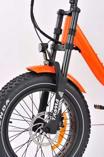 화물용 미드엔진 헤비듀티 3륜 e-삼륜차, 성인용 맞춤형 전기 삼륜차