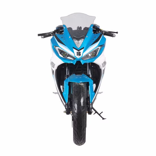 납축 배터리 리튬 배터리 OEM 전기 오토바이 도매