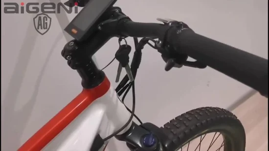 27.5인치 맞춤형 서스펜션 전기 자전거 지방 타이어 ebike MTB