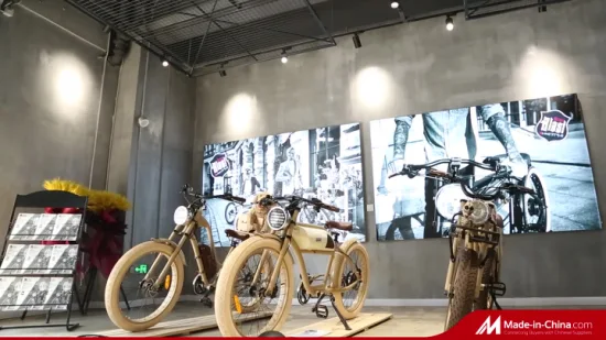 유럽 ​​복고풍 스타일 전자 자전거 350W 500W Bafang 모터 CE/En15194 전기 자전거