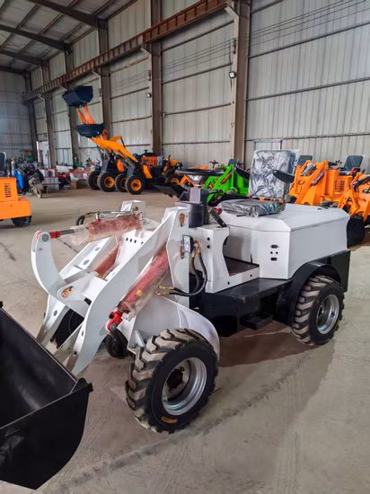 Dls150 PRO 중국 공급 전기 세발자전거 2023 승인 새로운 에너지 자원 전기 로더 화물 기본 사용자 정의를 위한 고품질